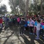 WhatsApp Image 2018-03-15 at 15.52.28(2)