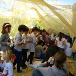 WhatsApp Image 2018-03-28 at 16.06.55(2)