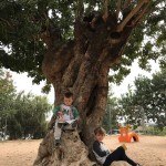 IMG-20180423-WA0007