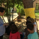 WhatsApp Image 2018-05-11 at 11.00.56(1)