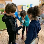 WhatsApp Image 2020-01-1at 11.46.15