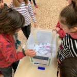 WhatsApp Image 2020-01-31 at 14.08.00 (5)