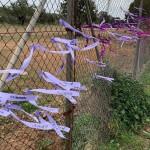 158156060_1937011503104093_4970414097522663702_n