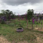 158348312_1937012666437310_2939762268140797703_o