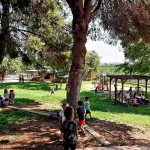 241688939_2079465852191990_2696604941418091784_n