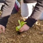 266201668_2154240384714536_6526779709312738013_n