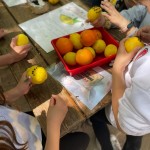 WhatsApp Image 2022-05-12 at 16.58.47