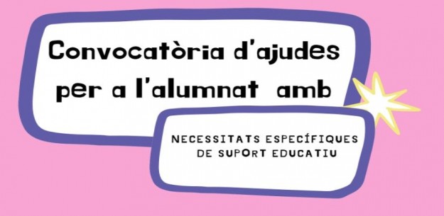 Convocatòria NESE 25-26