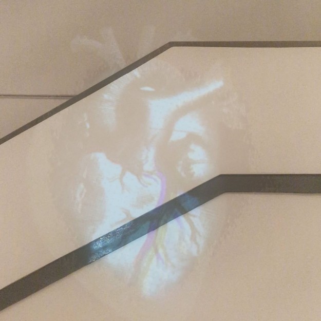 WhatsApp Image 2025-09-09 at 14.17.05 (1)